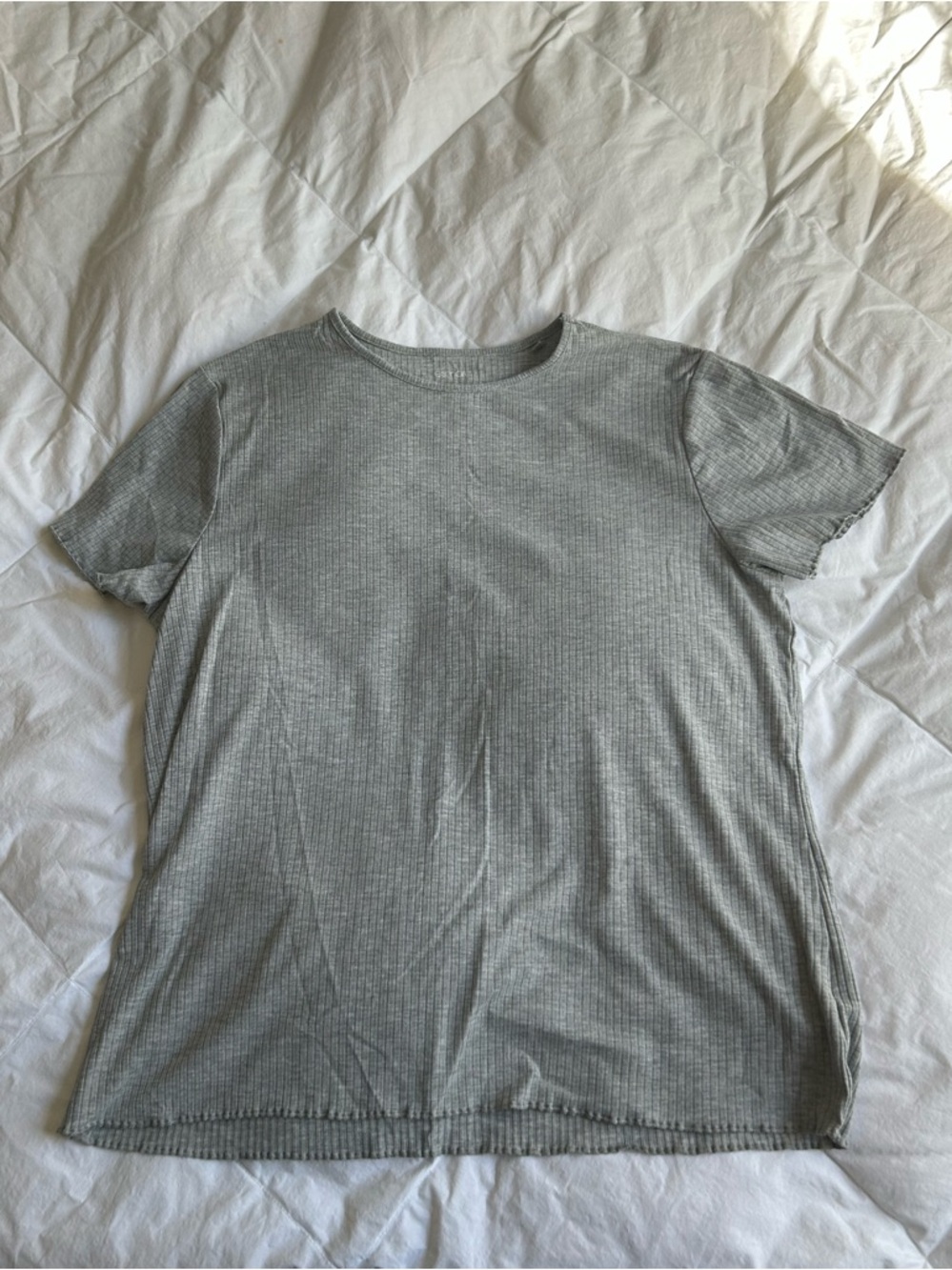 Aritzia Lightweight Ribbed Crew Tee in Heather Gray